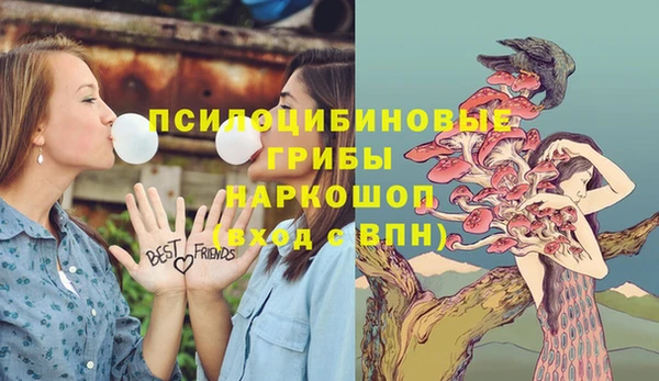 герыч Алексин