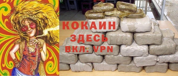 тгк Алзамай