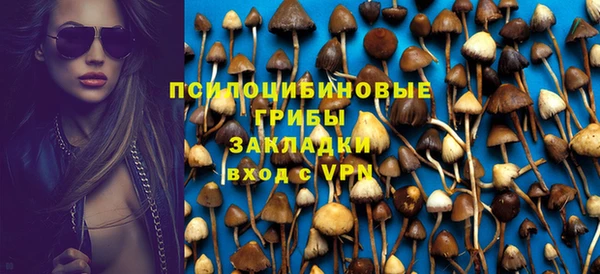 герыч Алексин