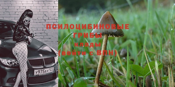 тгк Алзамай