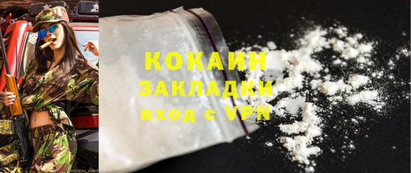 mdpv Каменногорск