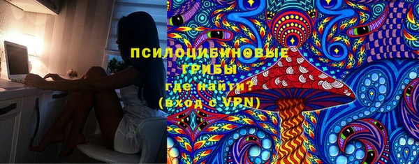 тгк Алзамай