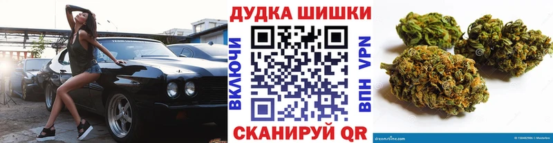 Бошки Шишки план  купить закладку  Ачхой-Мартан 